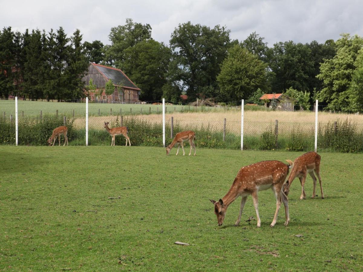 Gaeste Und Maas